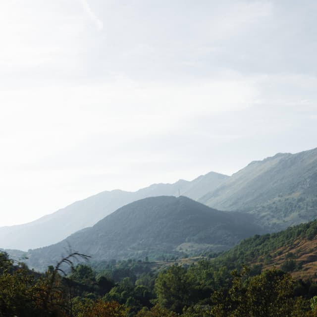 I Who Seeks by Louis Walker